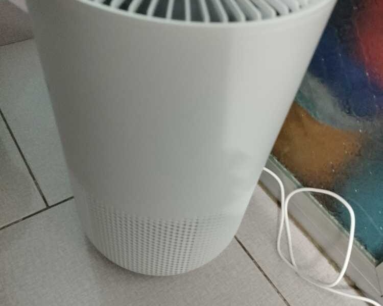 Top 4 máy lọc không khí hàng đầu hiện nay